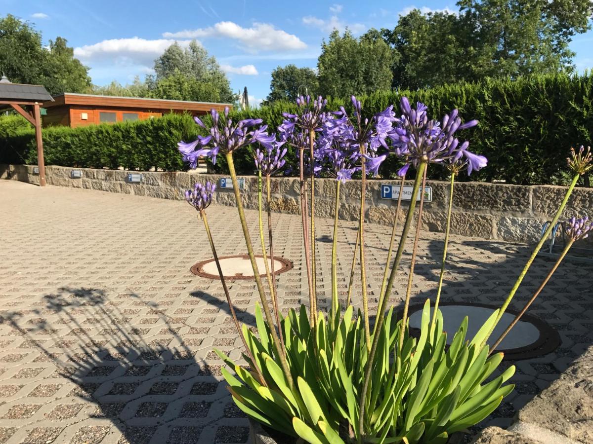 Ferienwohnung Kaitzbach-Idylle Dresden Exterior foto